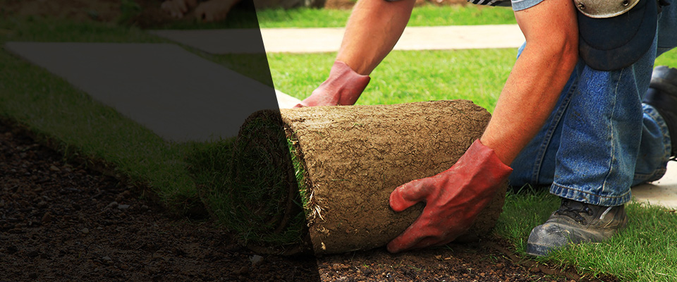 Wilmette Landscapers